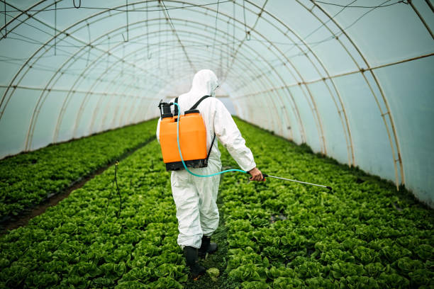 Best Best Pest Control Companies  in Prospect Rk, PA