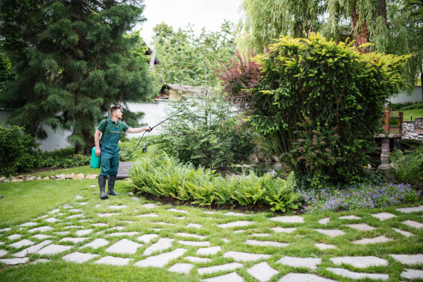 Best Local Pest Control Services  in Prospect Rk, PA