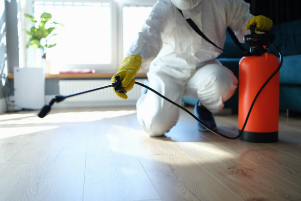 Flea Control Services in Prospect Park, PA