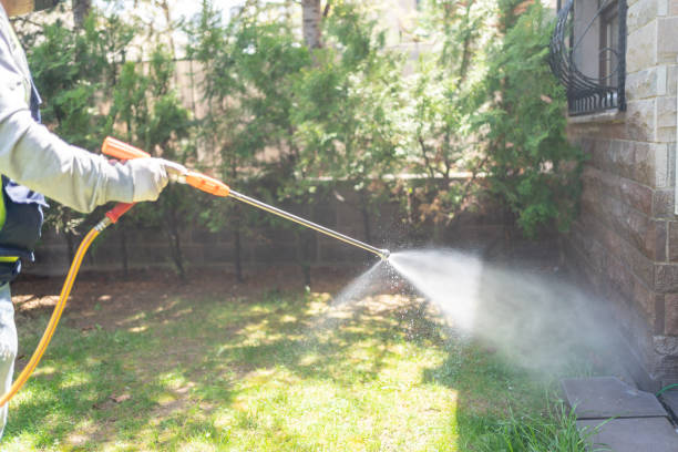 Best Flea Control Services  in Prospect Rk, PA