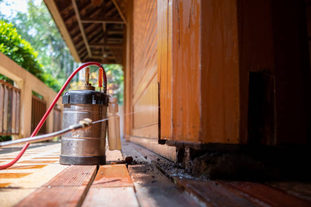 Best Pest Removal Services  in Prospect Rk, PA