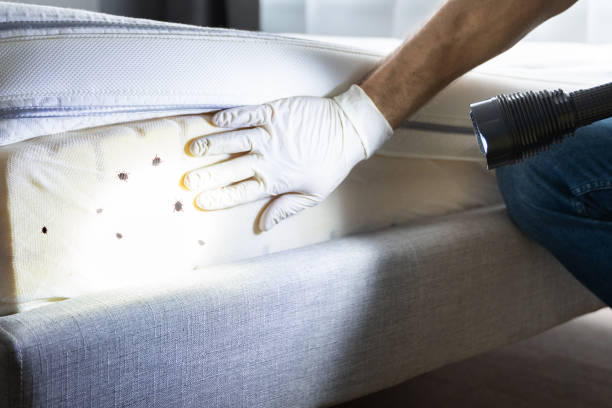 Best Affordable Pest Control Services  in Prospect Rk, PA