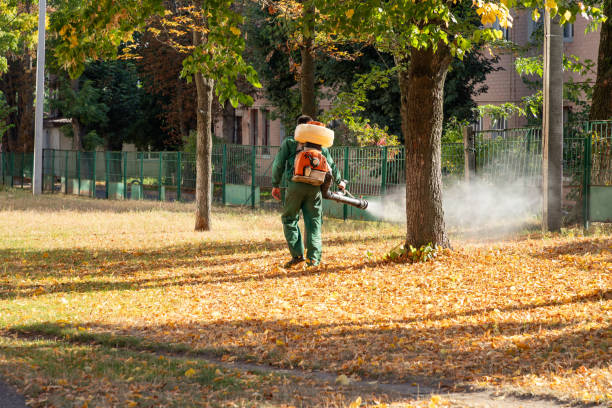 Best Termite Control Services  in Prospect Rk, PA
