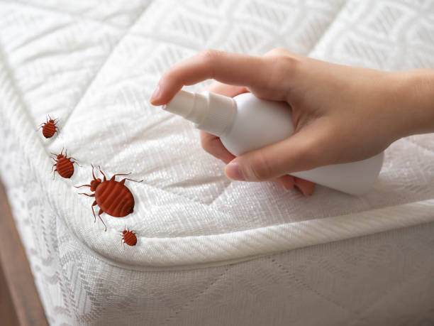 Best Commercial Pest Control Services  in Prospect Rk, PA